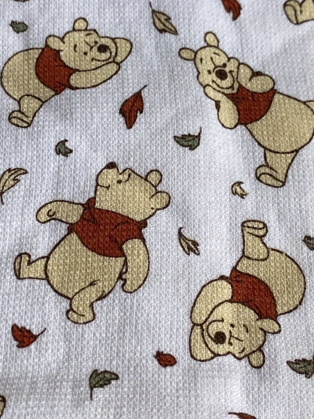 Disney pk winnie